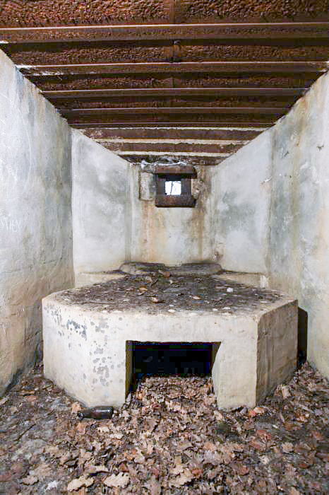 Ligne Maginot - CB260 - STRESSLING 1 - (Blockhaus pour arme infanterie) -  - Arnault