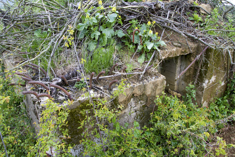 Ligne Maginot - CB268 - STOLBUCH - (Blockhaus pour arme infanterie) - Les ferraillages sont en place mais apparemment pas terminés.
 - Michel Teiten