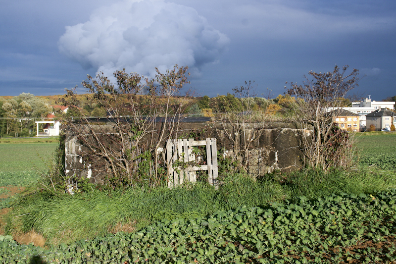 Ligne Maginot - CB270 - KLEINE WECKINGEN - (Blockhaus pour canon) - Vue latérale du bloc.
On voit la forêt et les panaches de la centrale nucléaire de Cattenom à l'arrière-plan. - Michel Teiten