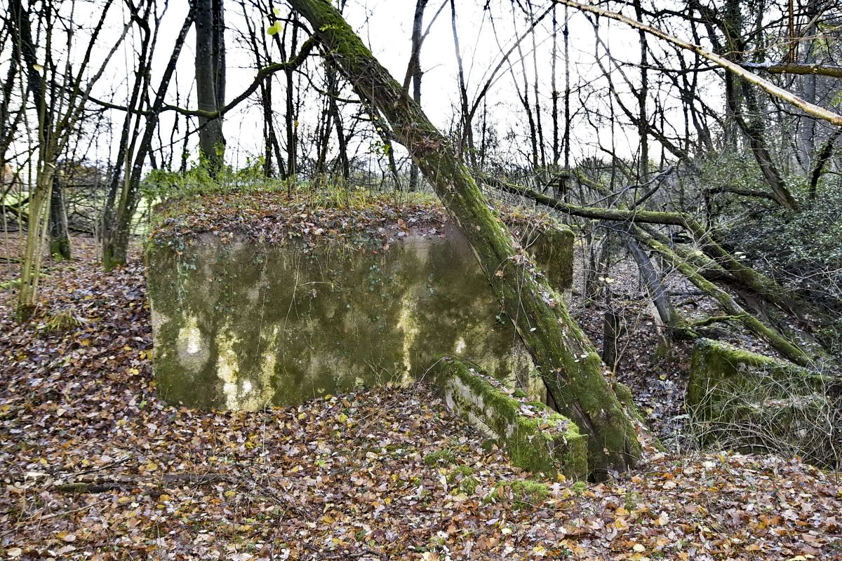 Ligne Maginot - CB280 - RETTELBOURG 2 - (Blockhaus pour arme infanterie) - Façade arrière - D.Froehly