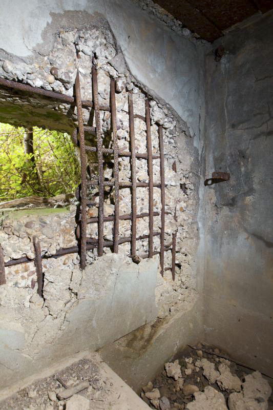 Ligne Maginot - CB301 - KANFENER BUSCH 7 - (Blockhaus pour canon) -  - Arnault JL Photo