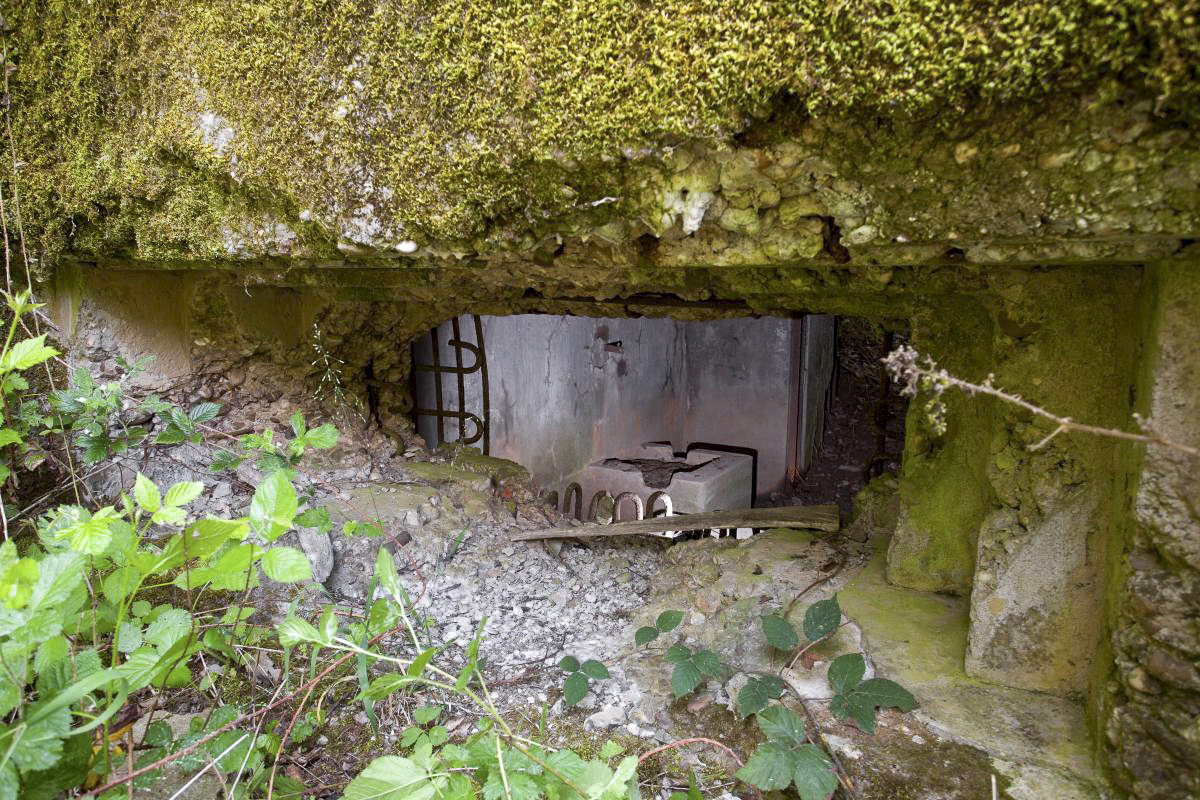 Ligne Maginot - CB301 - KANFENER BUSCH 7 - (Blockhaus pour canon) -  - Arnault JL Photo