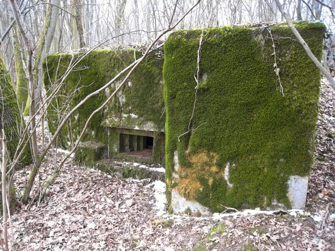 Ligne Maginot - CB298 - KUHDRECK 4 - (Blockhaus pour arme infanterie) - La façade de tir avec l'embrasure pour une mitrailleuse. - Pruzsina Jérome
