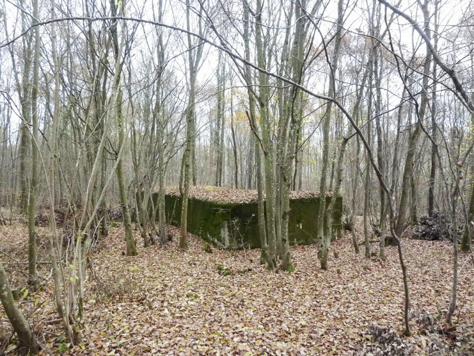 Ligne Maginot - CB444 - RIPPERT - (Poste de Secours) - Le PC vu de la route militaire - Pascal LAMBERT