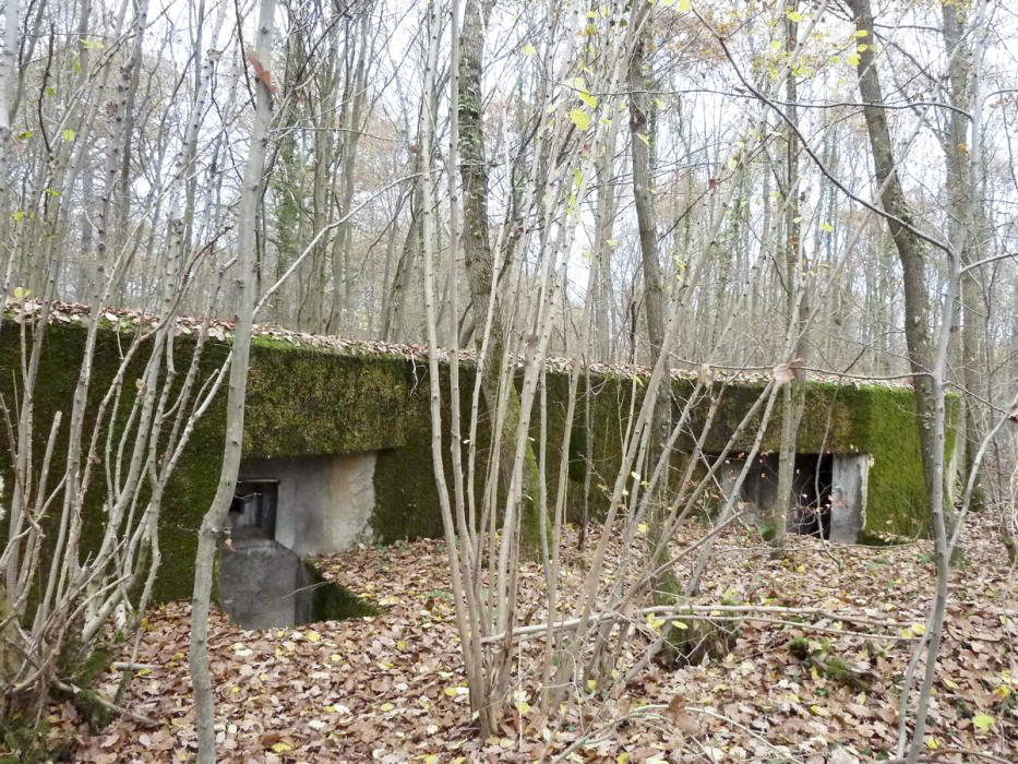 Ligne Maginot - CB444 - RIPPERT - (Poste de Secours) - Vue de la façade avant - Pascal LAMBERT