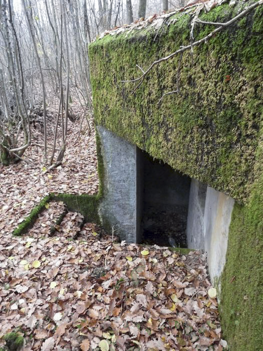Ligne Maginot - CB444 - RIPPERT - (Poste de Secours) - L'entrée de gauche - Pascal LAMBERT