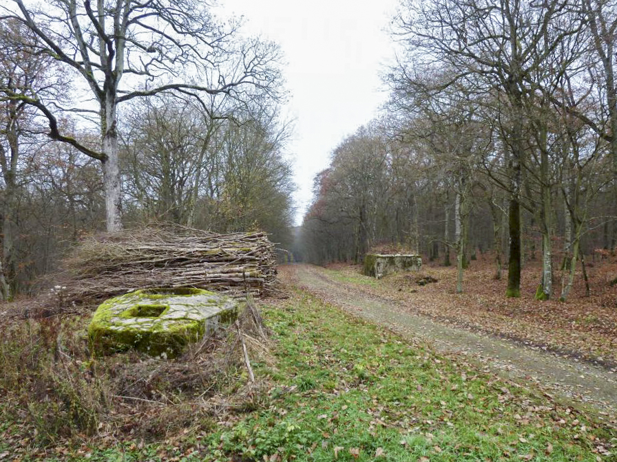 Ligne Maginot - CT57 - (Cuve pour arme d'infanterie) - L'encuvement CT 57 au premier plan et le blockhaus pour canon antichar Rippert 2 au second plan - Pascal LAMBERT