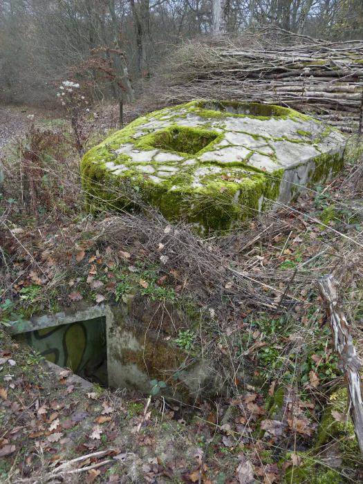 Ligne Maginot - CT57 - (Cuve pour arme d'infanterie) - Au premier plan l'escalier d'accés à l'encuvement.
Un second accés par un puit doté d'une échelle est visible sur le massif bétonné. - Pascal LAMBERT