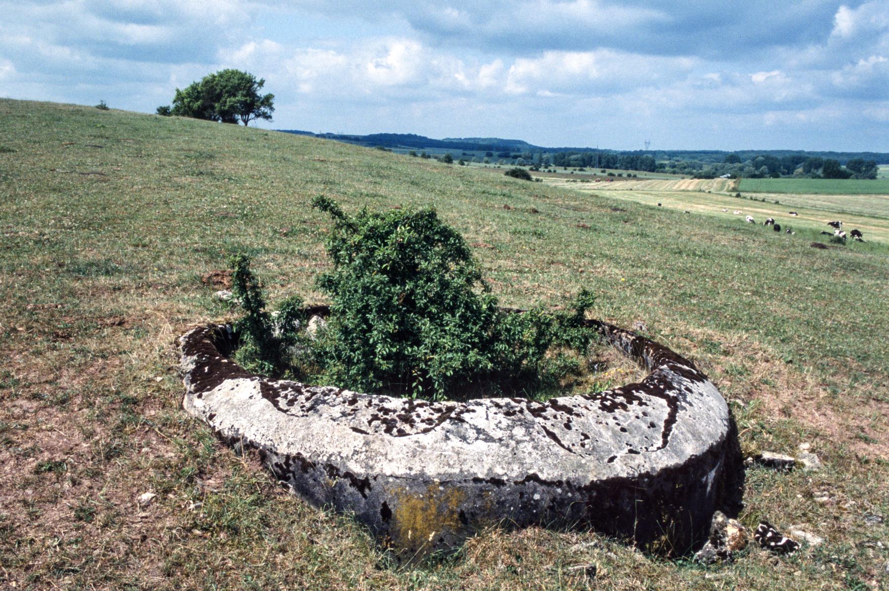 Ligne Maginot - AT30 - (Cuve pour arme d'infanterie) -  - MANSUY Michel