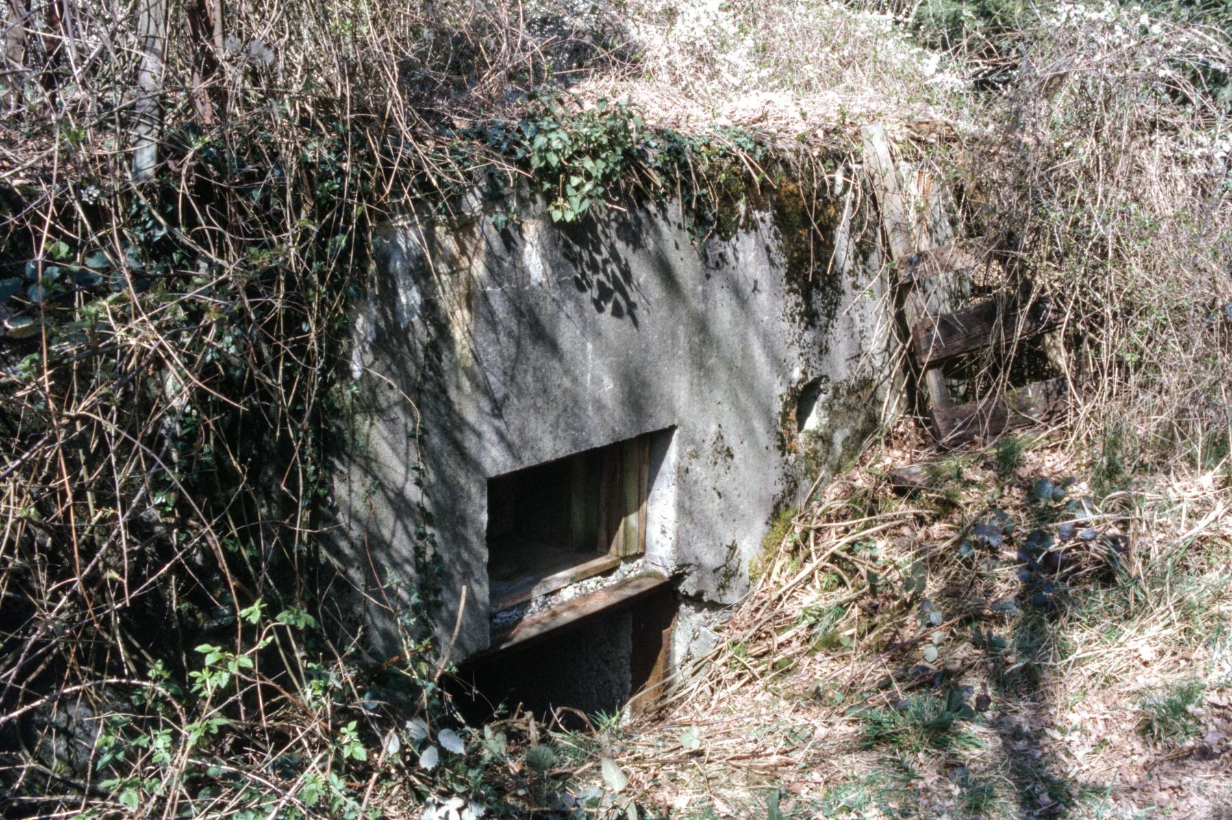 Ligne Maginot - AB329 - BAN SAINT JEAN NORD 1 - (Blockhaus pour canon) - L'entrée - MANSUY Michel