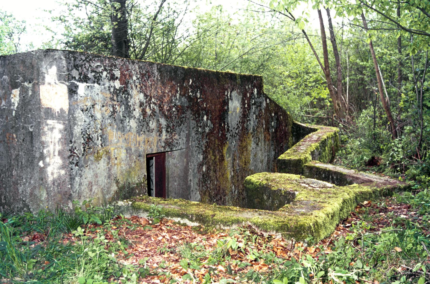 Ligne Maginot - M101B - BOIS DE GUESSLING - (Blockhaus pour arme infanterie) -  - MANSUY Michel