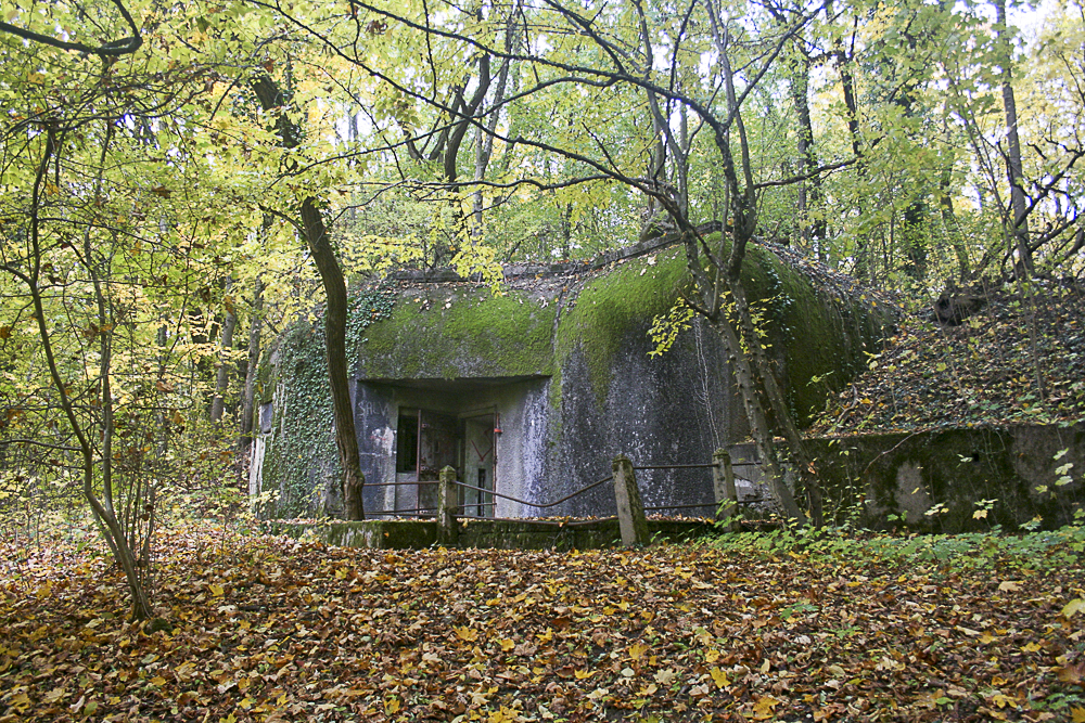 Ligne Maginot - HELMREICH - X10 - (Abri) - Coffre d'entrée Ouest - Michel Teiten