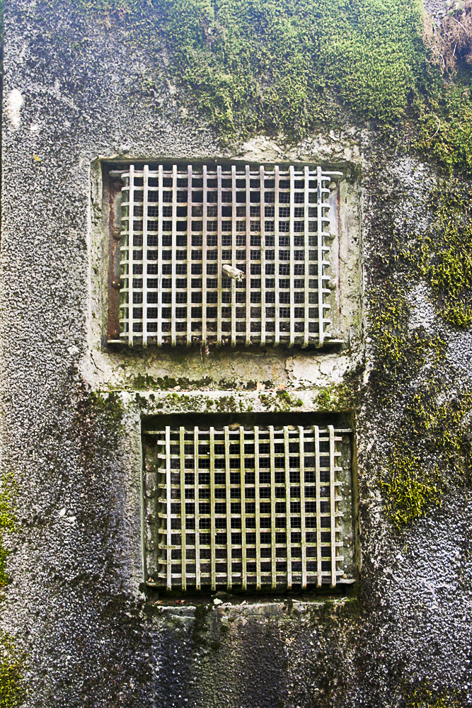 Ligne Maginot - HELMREICH - X10 - (Abri) - Prises d'air du coffre Est - Michel Teiten