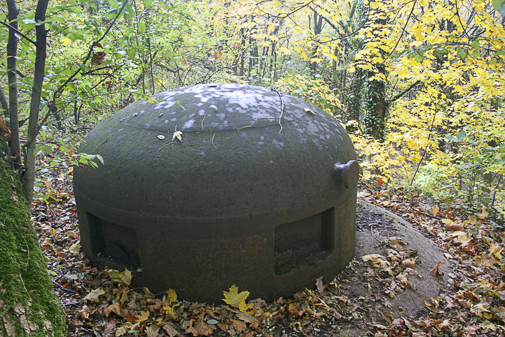 Ligne Maginot - HELMREICH - X10 - (Abri) - Cloche GFM - Michel Teiten