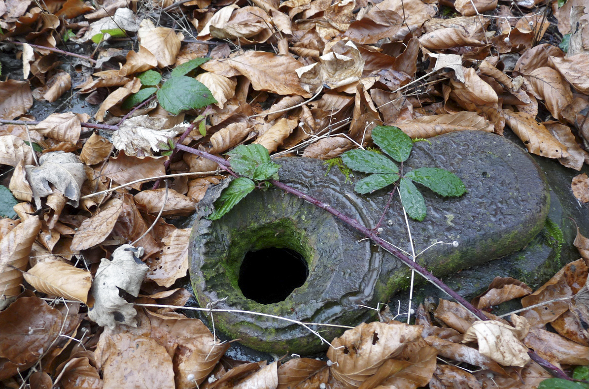 Ligne Maginot - CRUSNES OUEST - C24 - (Casemate d'infanterie - Simple) -  - Sylvie Laure LAMBERT
