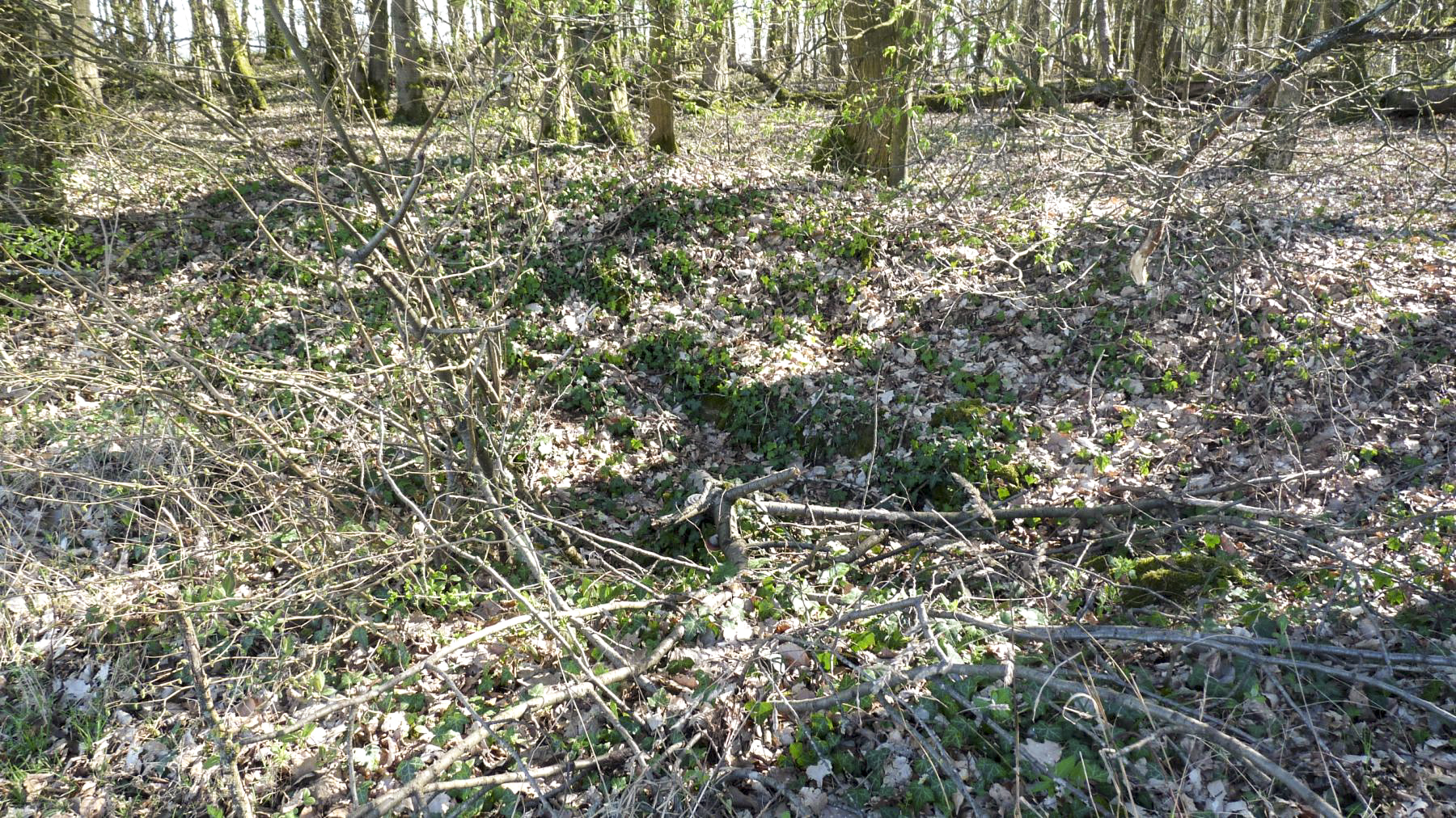 Ligne Maginot - O115 - BOIS DE KANFEN NORD - (Observatoire d'artillerie) - Ce qu'il en reste. - Sylvie-Laure LAMBERT
