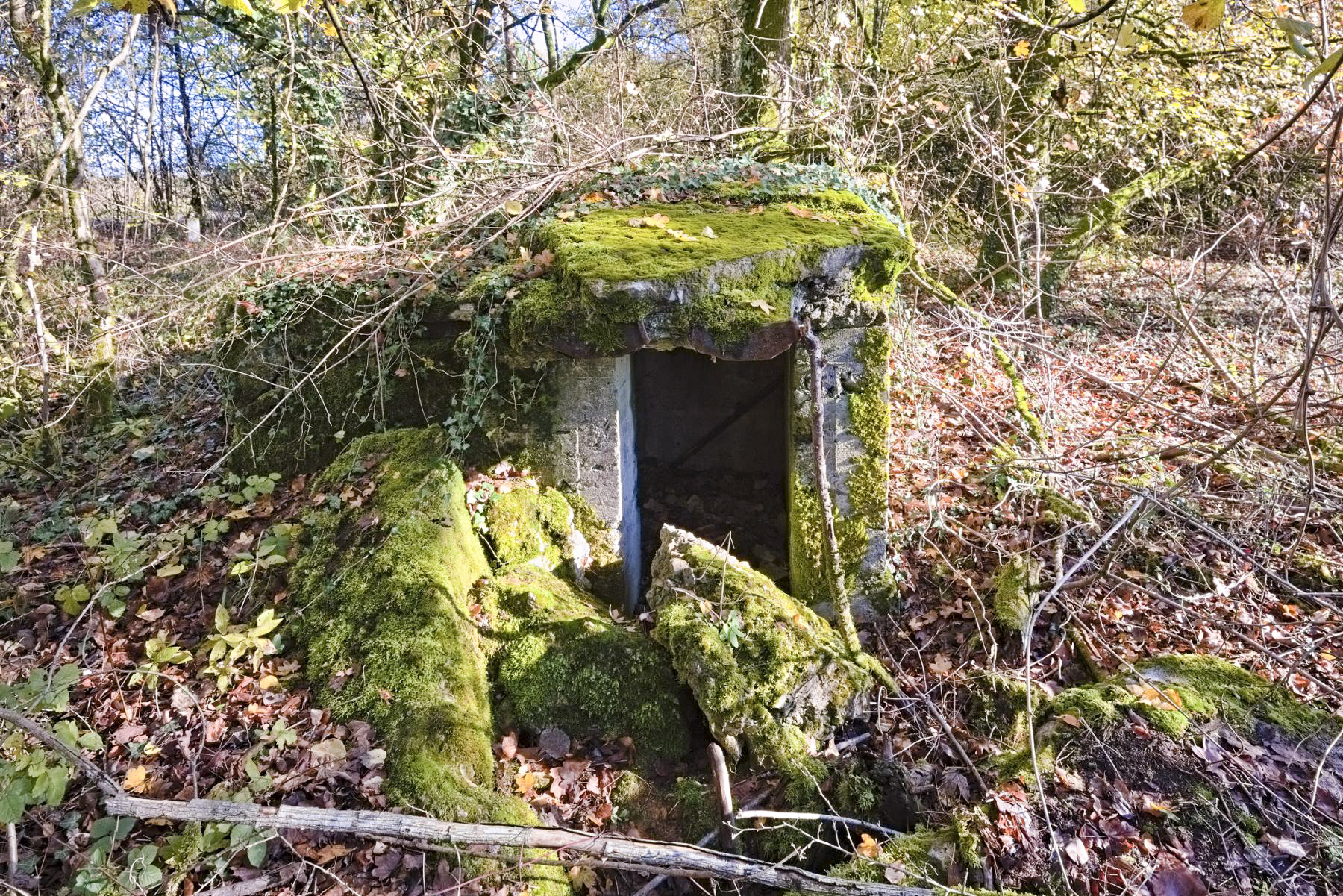 Ligne Maginot - O116 - ROUTE D'ANGEVILLERS - (Observatoire d'artillerie) -  - thierry caland