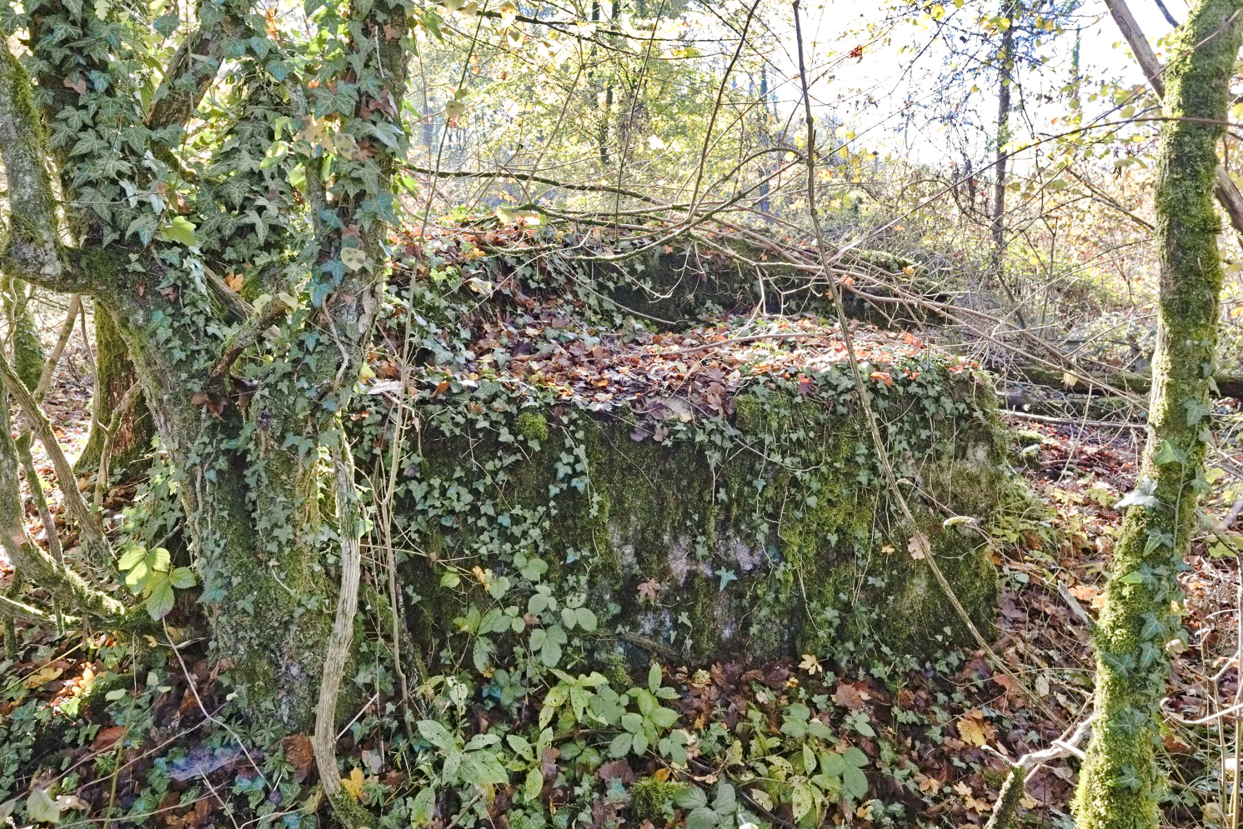Ligne Maginot - O116 - ROUTE D'ANGEVILLERS - (Observatoire d'artillerie) -  - thierry caland
