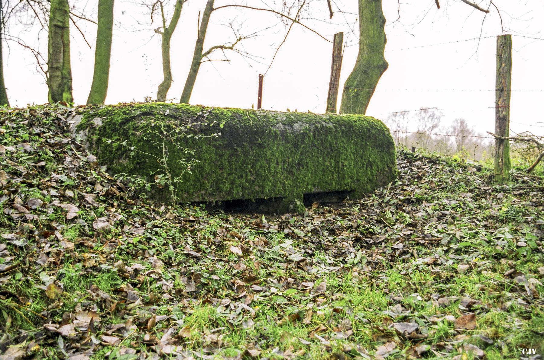 Ligne Maginot - SAINTE MARIE - (Blockhaus pour arme infanterie) -   - Lia VERMEULEN
