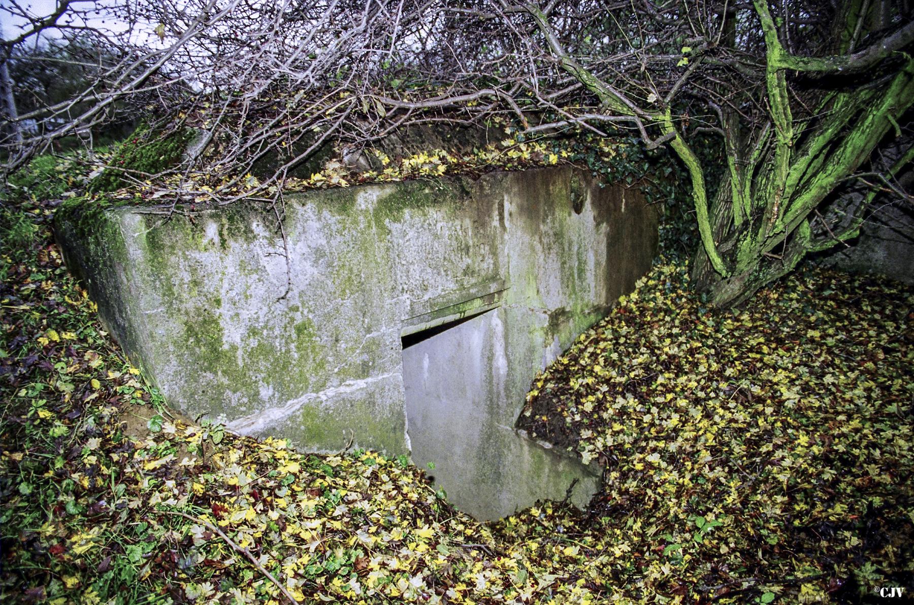 Ligne Maginot - SAINTE MARIE - (Blockhaus pour arme infanterie) -    - Lia VERMEULEN