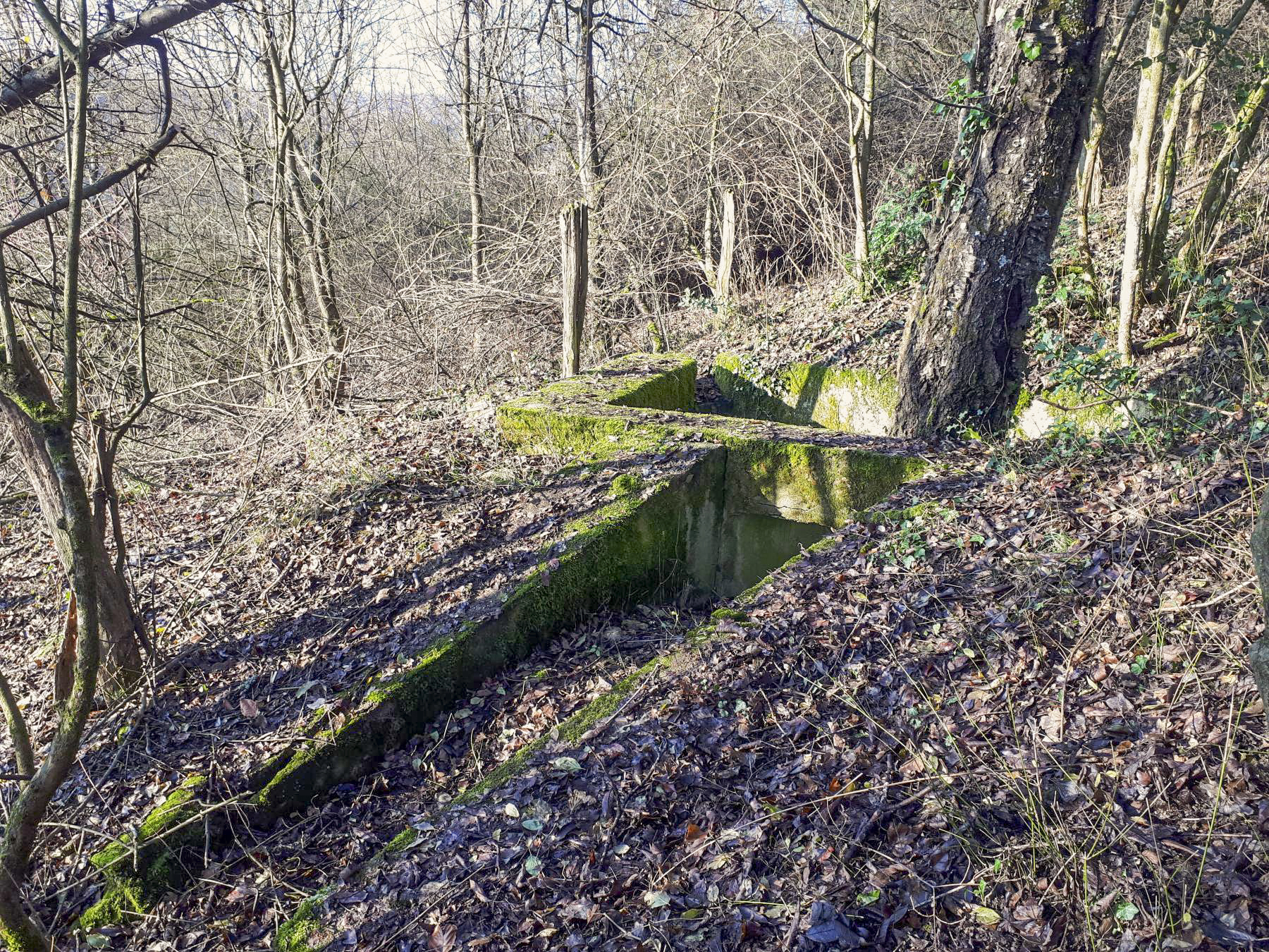 Ligne Maginot - LANGENSOULTZBACH OUEST 2 - (Cuve pour arme d'infanterie) -  - Gregory Fuchs