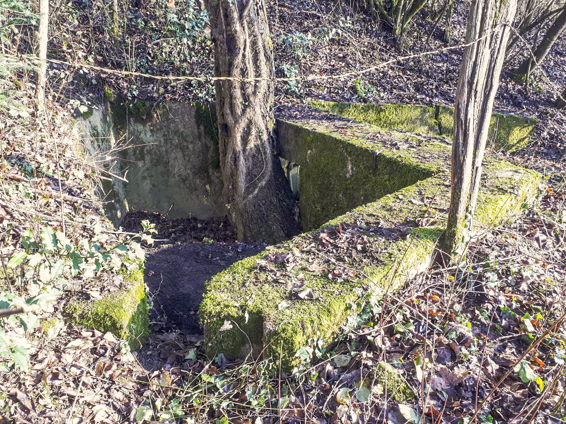 Ligne Maginot - LANGENSOULTZBACH OUEST 2 - (Cuve pour arme d'infanterie) -  - Gregory Fuchs