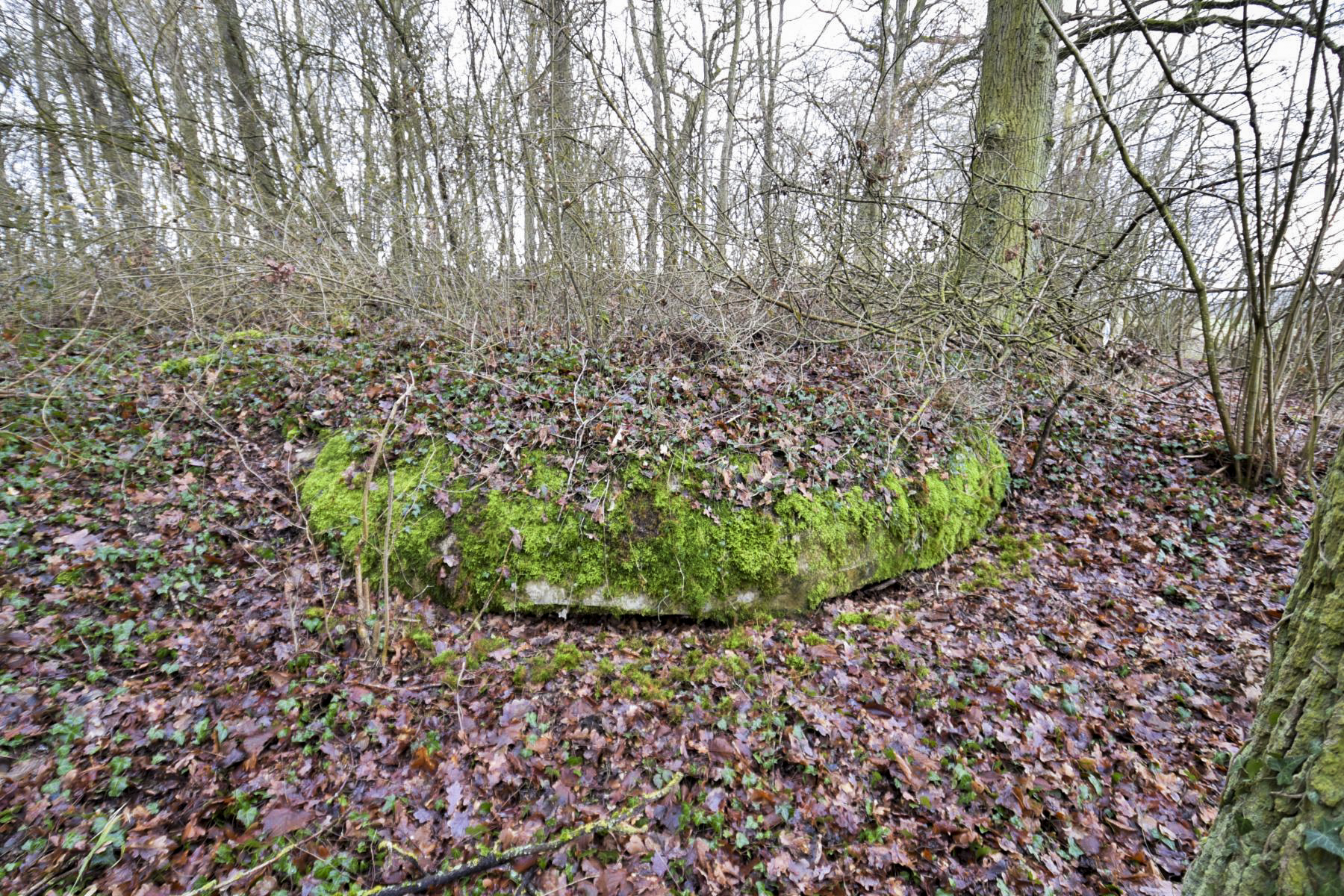 Ligne Maginot - SAINTE MARIE (168° RIF - 70° RAMF) - (PC de Sous-Secteur) - Annexe 1
Observatoire - knapp ludovic