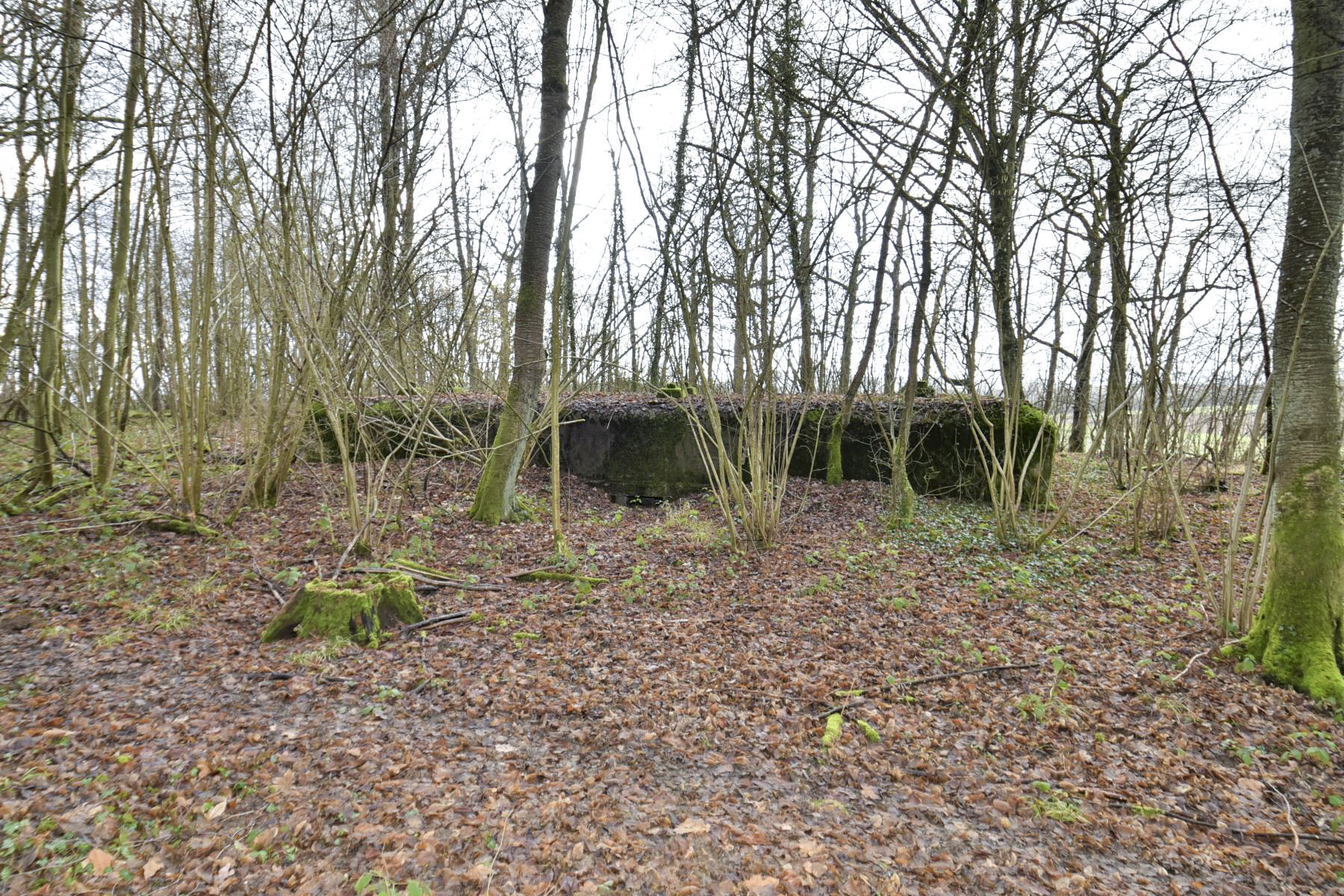 Ligne Maginot - SAINTE MARIE (168° RIF - 70° RAMF) - (PC de Sous-Secteur) - Annexe 1
Extension - knapp ludovic