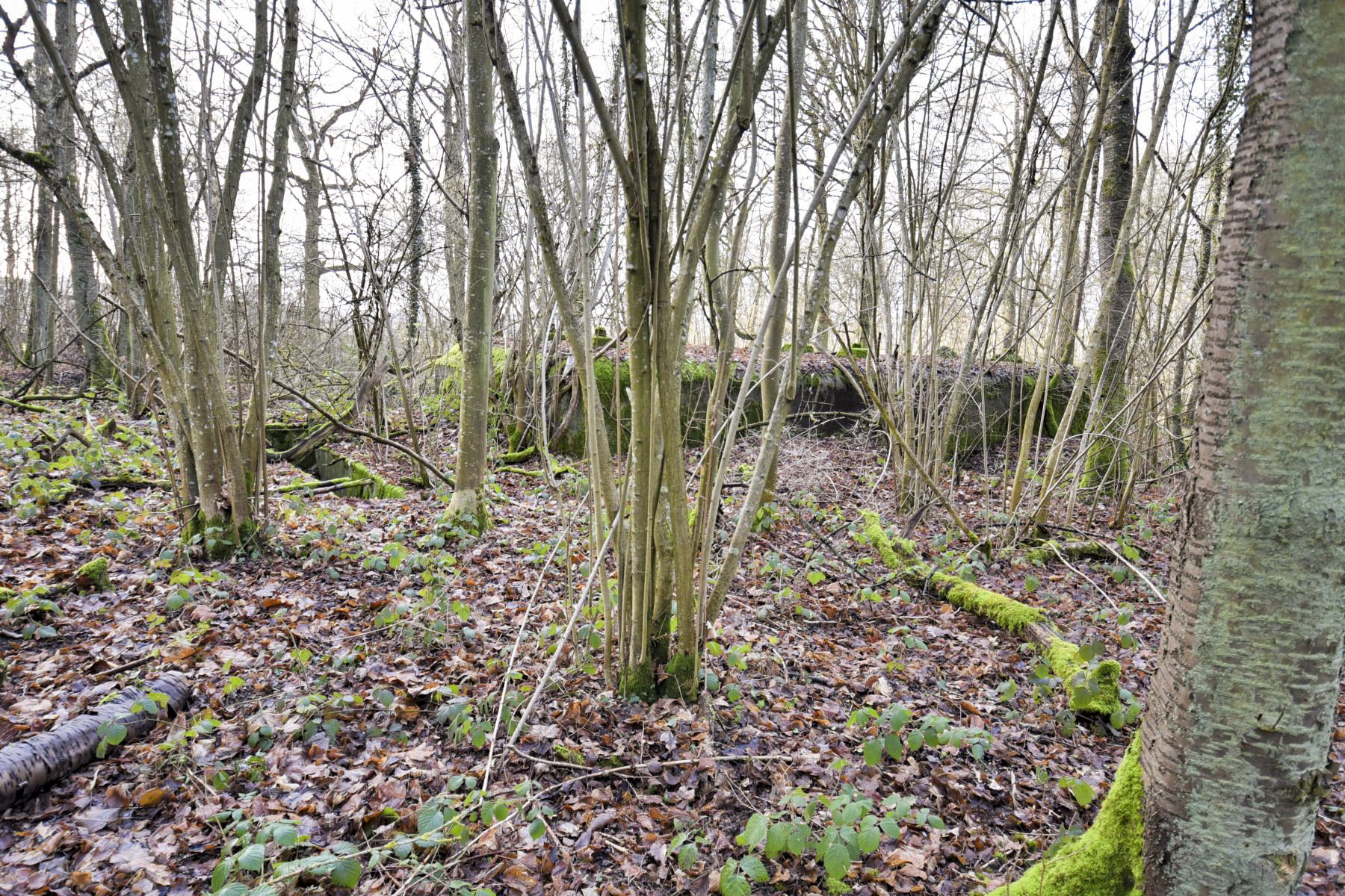 Ligne Maginot - SAINTE MARIE (168° RIF - 70° RAMF) - (PC de Sous-Secteur) - Annexe 1
Extension - knapp ludovic