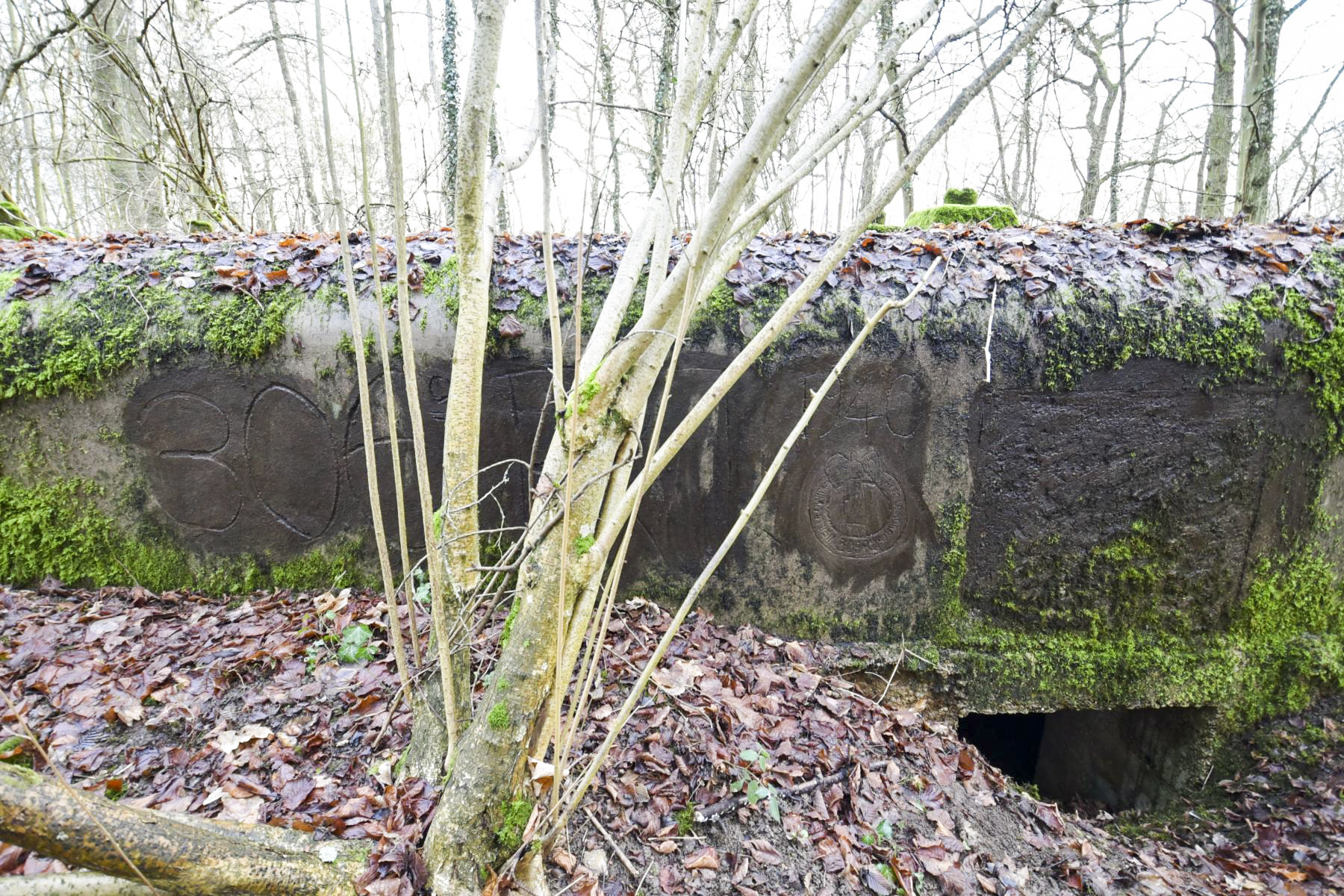 Ligne Maginot - SAINTE MARIE (168° RIF - 70° RAMF) - (PC de Sous-Secteur) - Annexe 1
Extension - knapp ludovic