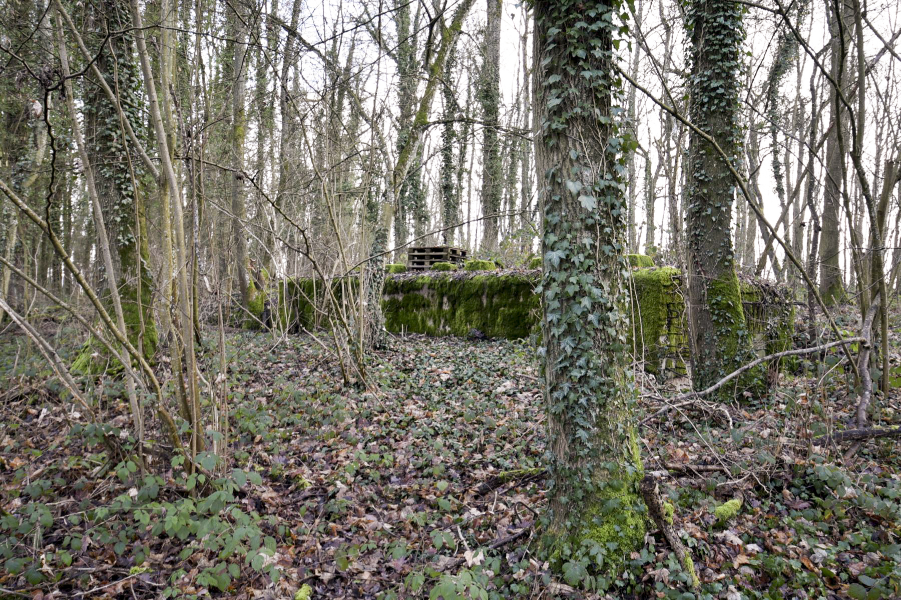 Ligne Maginot - SAINTE MARIE (168° RIF - 70° RAMF) - (PC de Sous-Secteur) - Annexe 2 - knapp ludovic