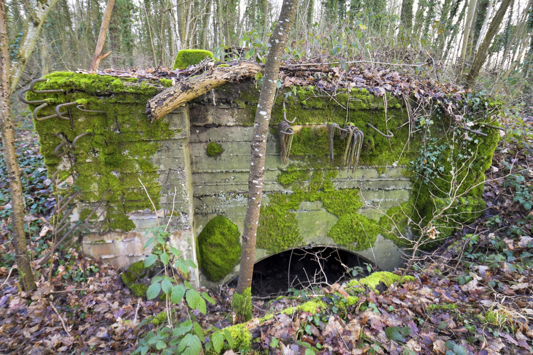 Ligne Maginot - SAINTE MARIE (168° RIF - 70° RAMF) - (PC de Sous-Secteur) - Annexe 2 - knapp ludovic