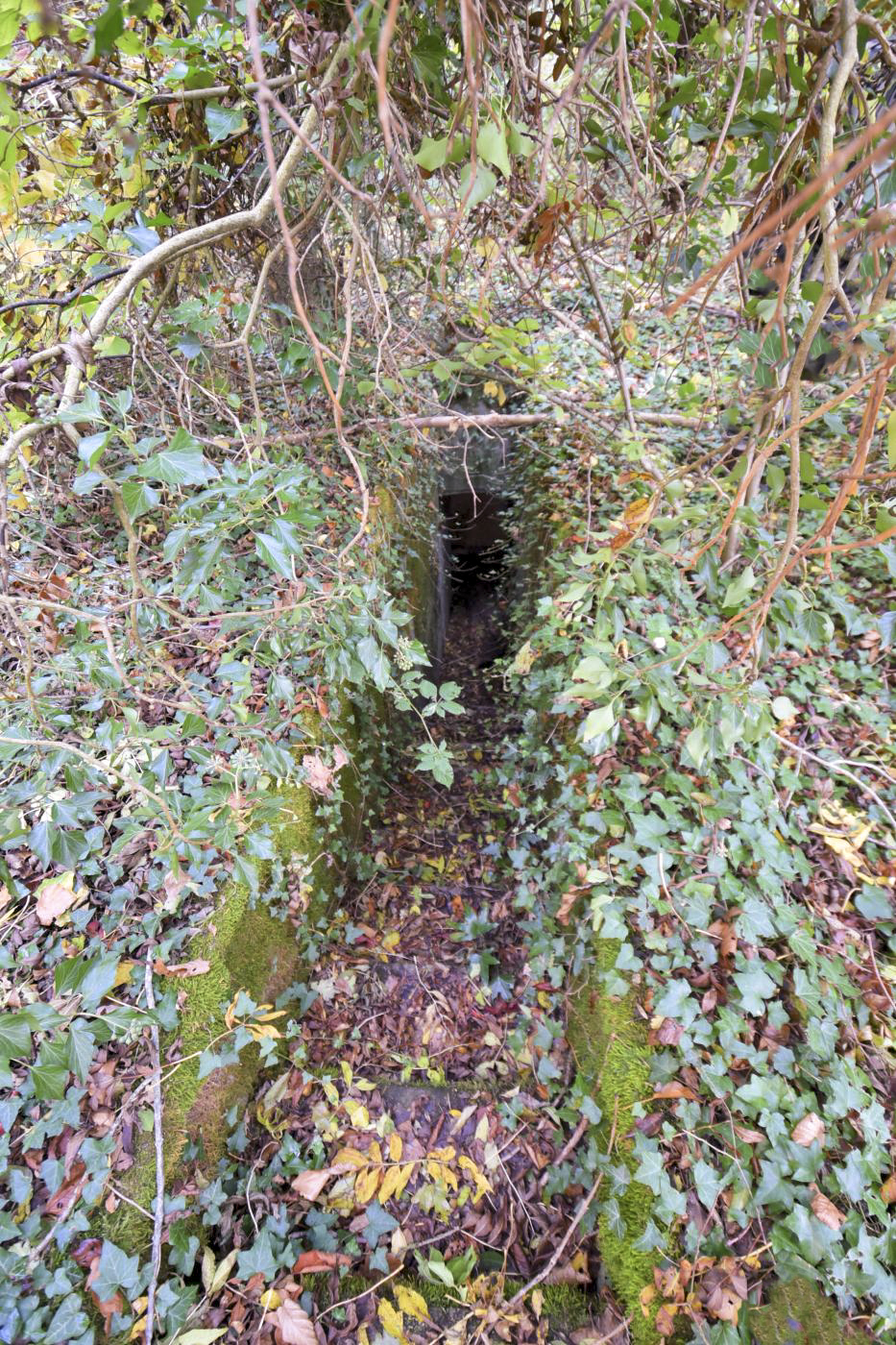 Ligne Maginot - SAINTE MARIE (168° RIF - 70° RAMF) - (PC de Sous-Secteur) - Un des deux escaliers de l'annexe 3 - Ludovic KNAPP