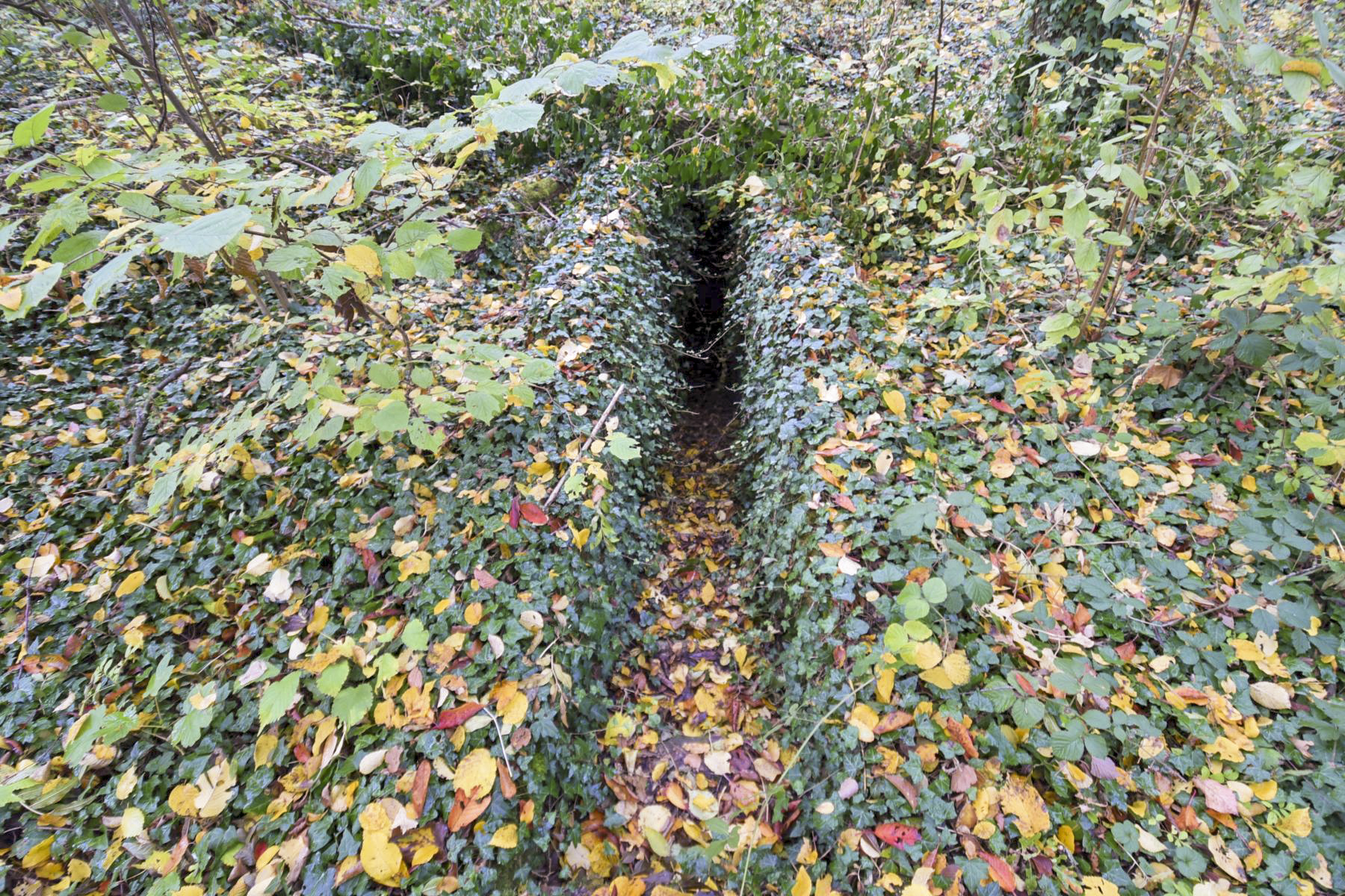 Ligne Maginot - SAINTE MARIE (168° RIF - 70° RAMF) - (PC de Sous-Secteur) - Le 2ème escalier de l'annexe 3 - Ludovic KNAPP