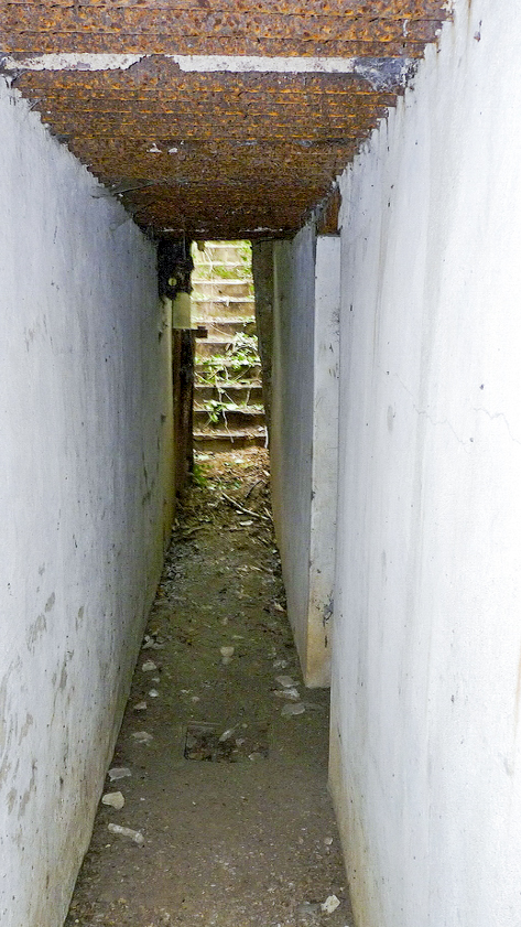 Ligne Maginot - SAINTE MARIE 1 - (Observatoire d'artillerie) -  - Sylvie-Laure LAMBERT