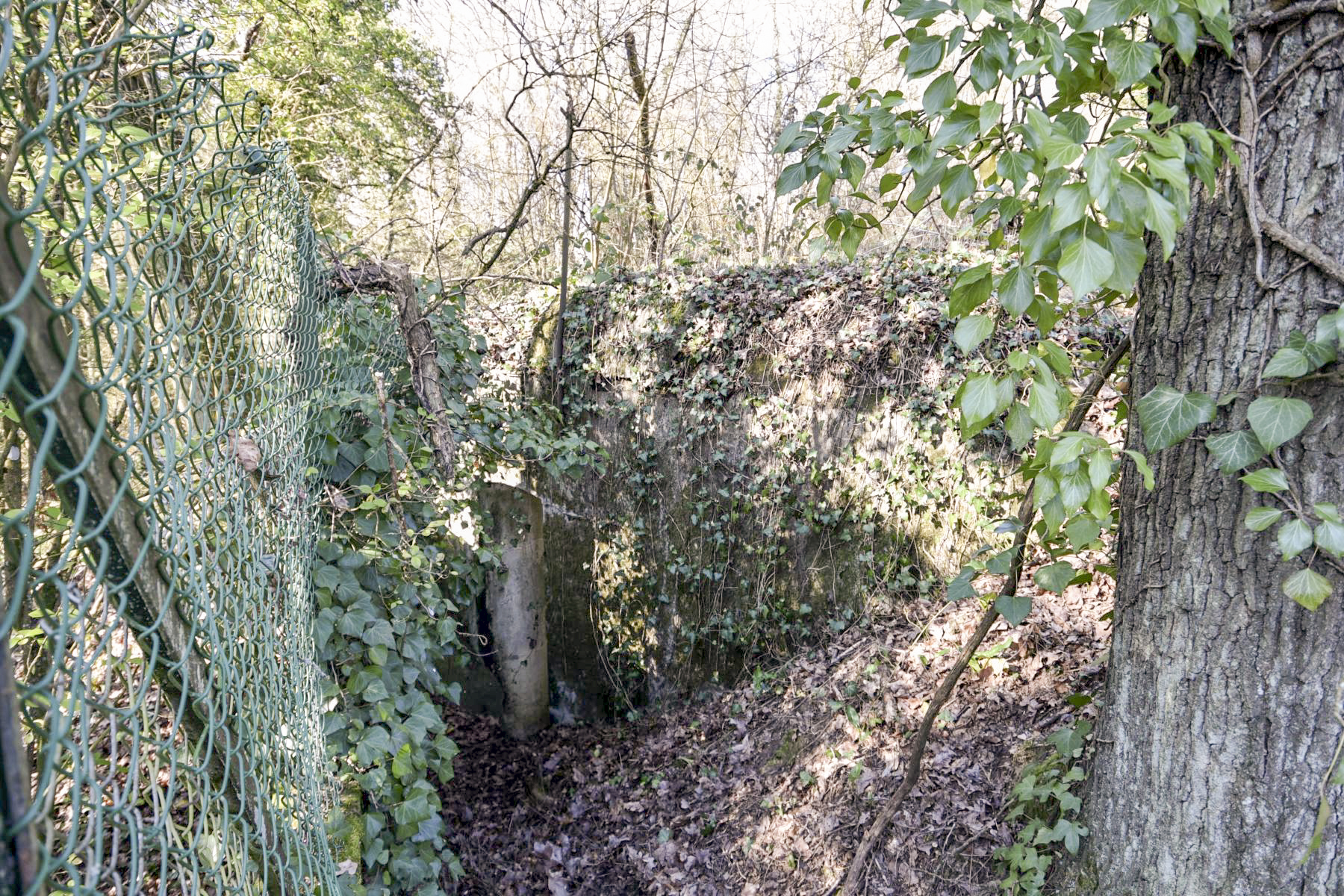 Ligne Maginot - SAINTE MARIE A (PS 168° RIF) - (Poste de Secours) -  - Ludovic KNAPP