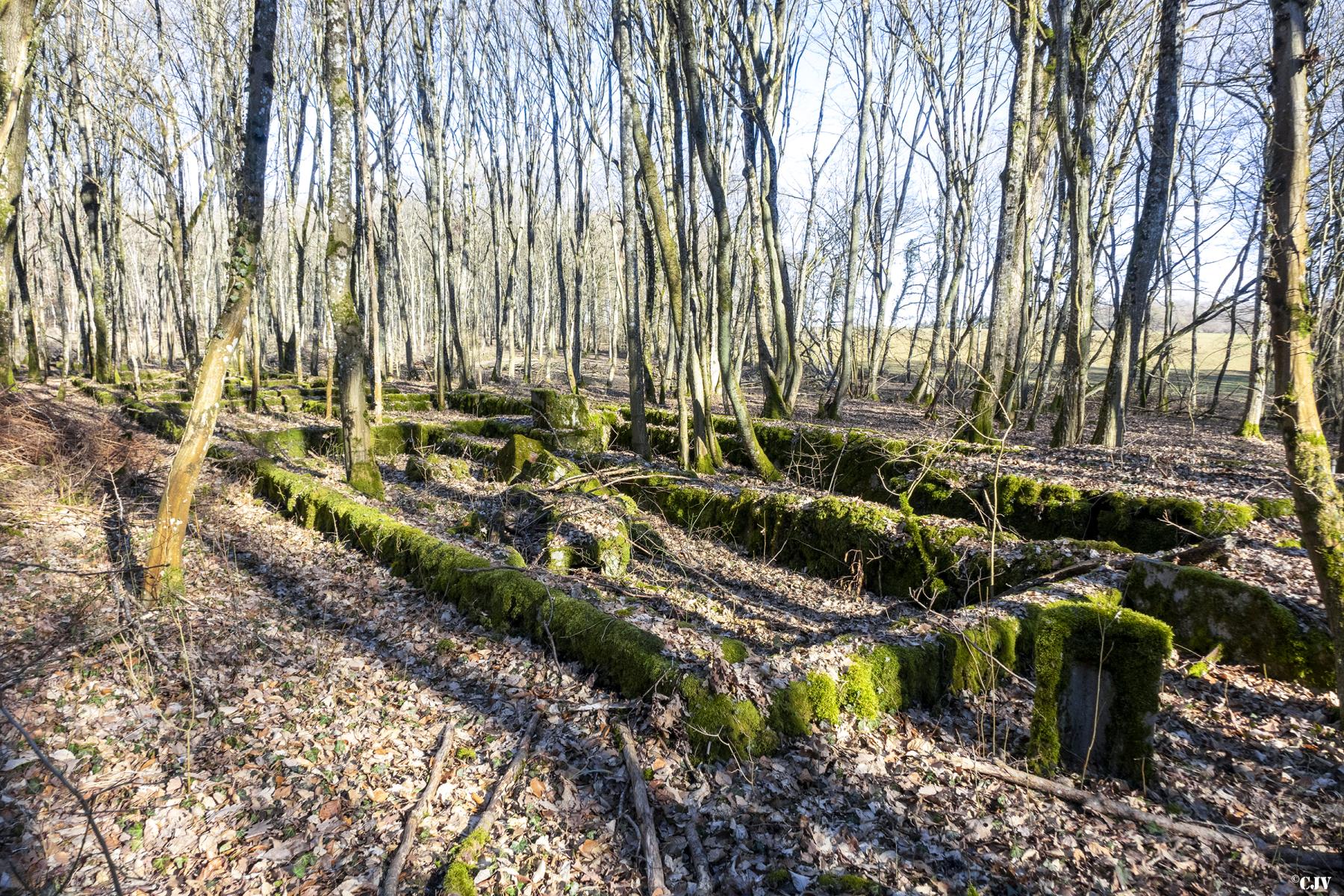 Ligne Maginot - SOETRICH - (Casernement) -            - Lia VERMEULEN