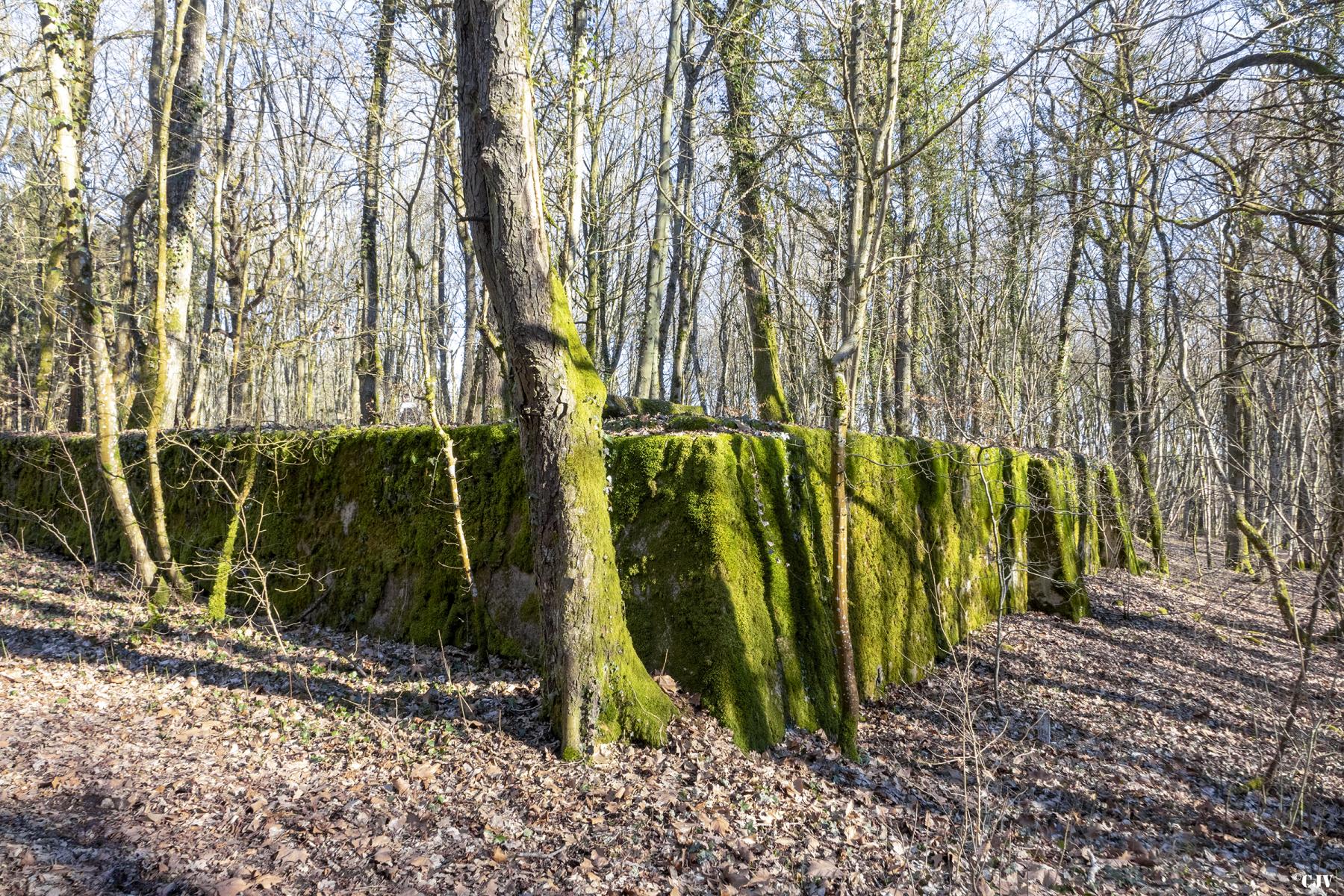 Ligne Maginot - SOETRICH - (Casernement) -             - Lia VERMEULEN