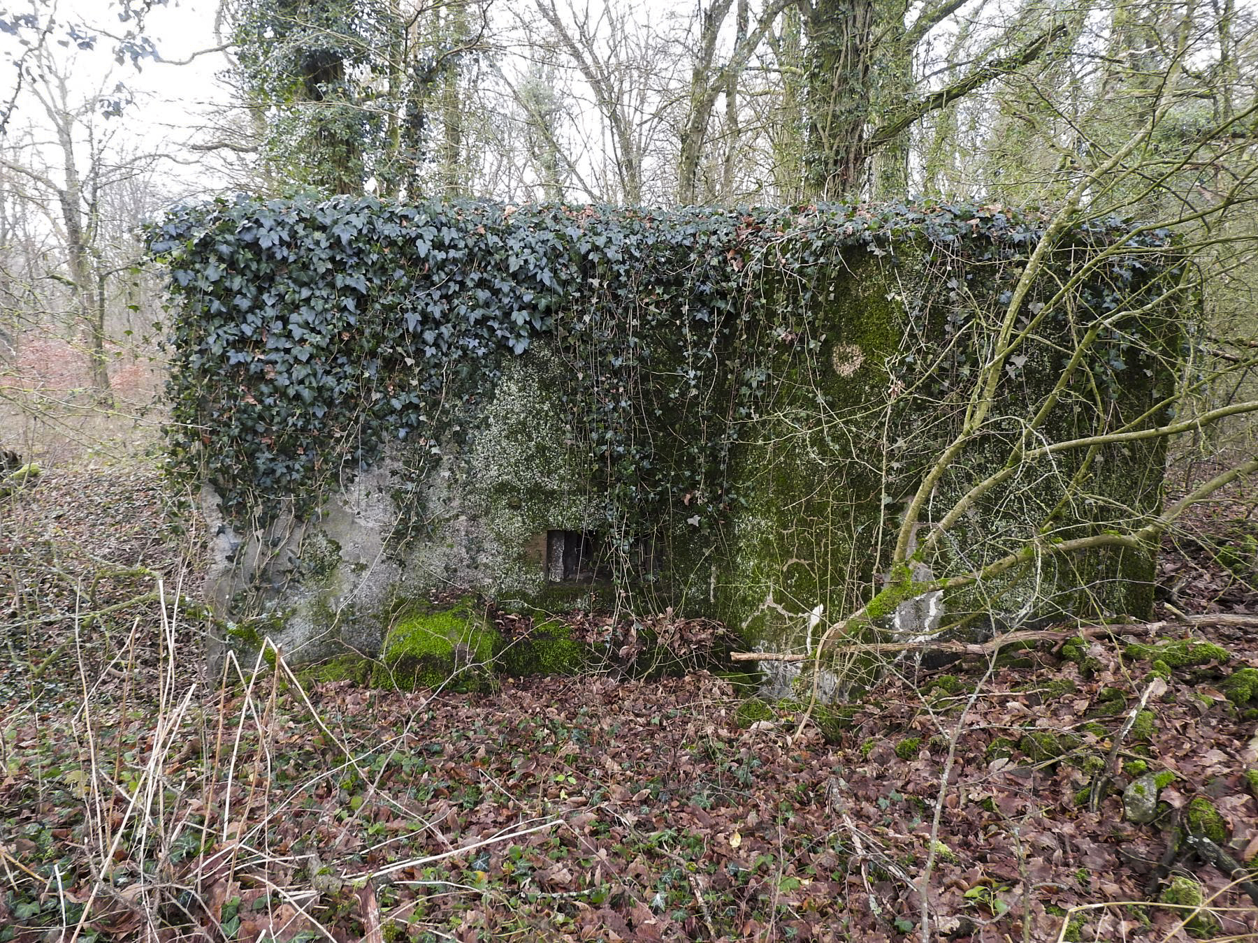 Ligne Maginot - BB21-D - GRESSES WALD - (Blockhaus pour arme infanterie) - La façade de tir. - STENGER Mathieu