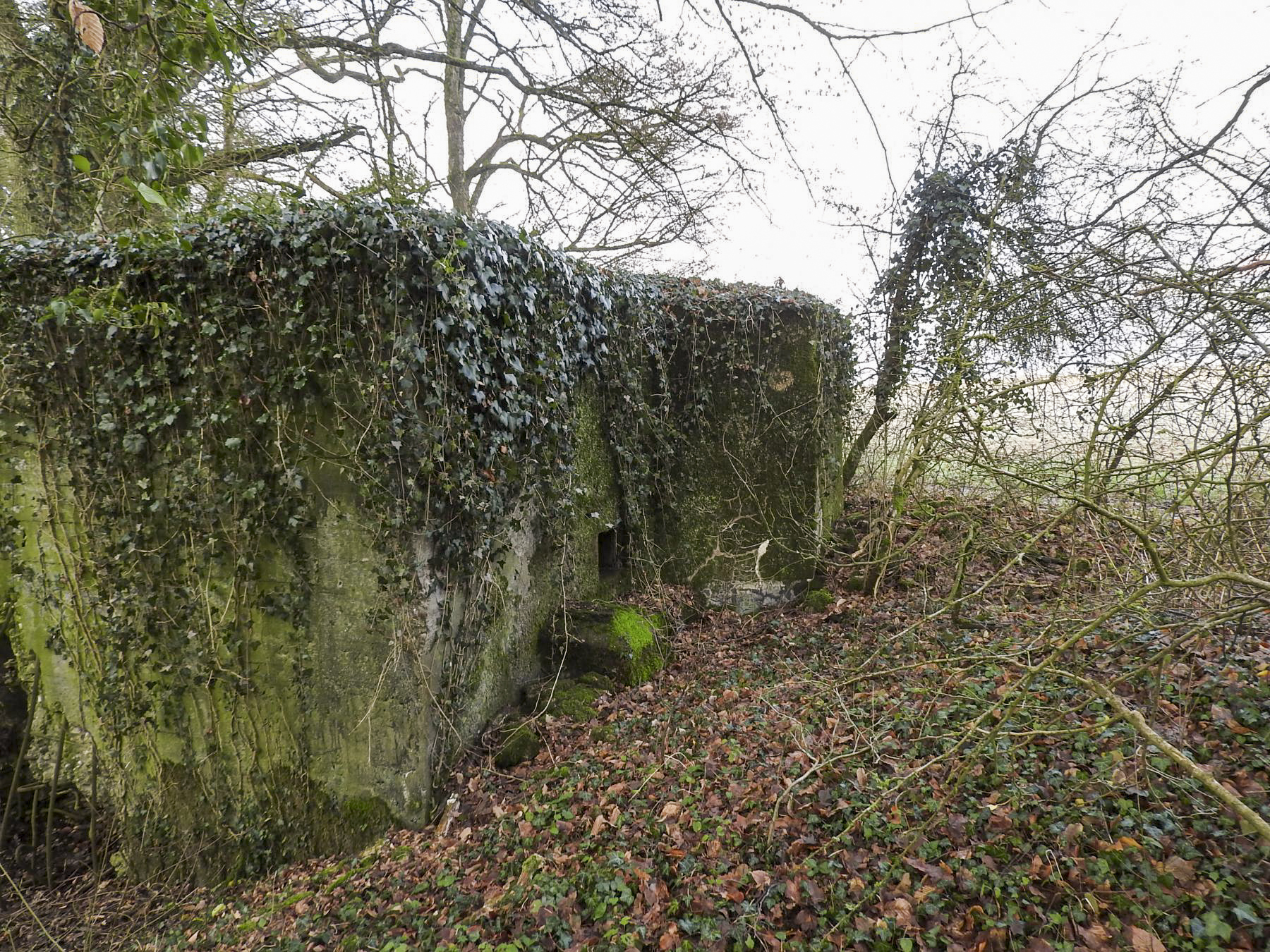 Ligne Maginot - BB21-D - GRESSES WALD - (Blockhaus pour arme infanterie) - La façade de tir. - STENGER Mathieu