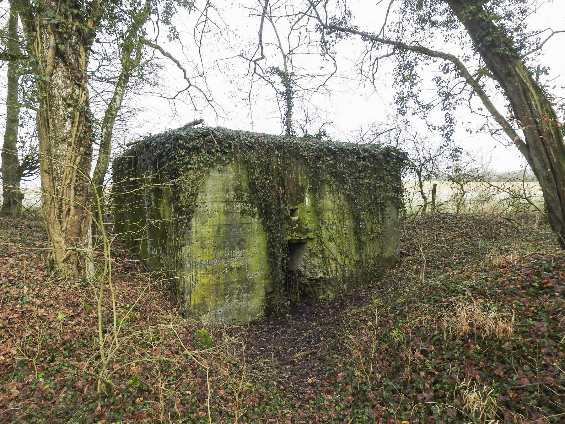 Ligne Maginot - BB21-D - GRESSES WALD - (Blockhaus pour arme infanterie) - L’entrée du blockhaus - STENGER Mathieu