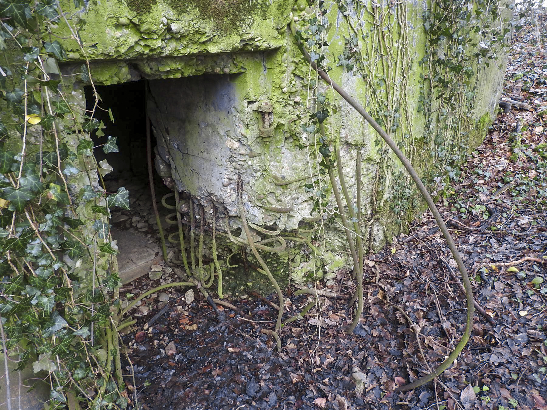 Ligne Maginot - BB21-D - GRESSES WALD - (Blockhaus pour arme infanterie) - L'entrée du blockhaus. - STENGER Mathieu