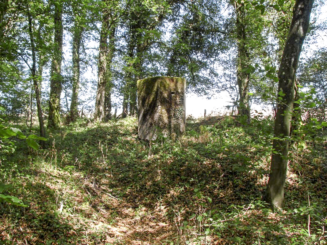 Ligne Maginot - GRESSES WALD - (Observatoire d'infanterie) -    - Schnoupf