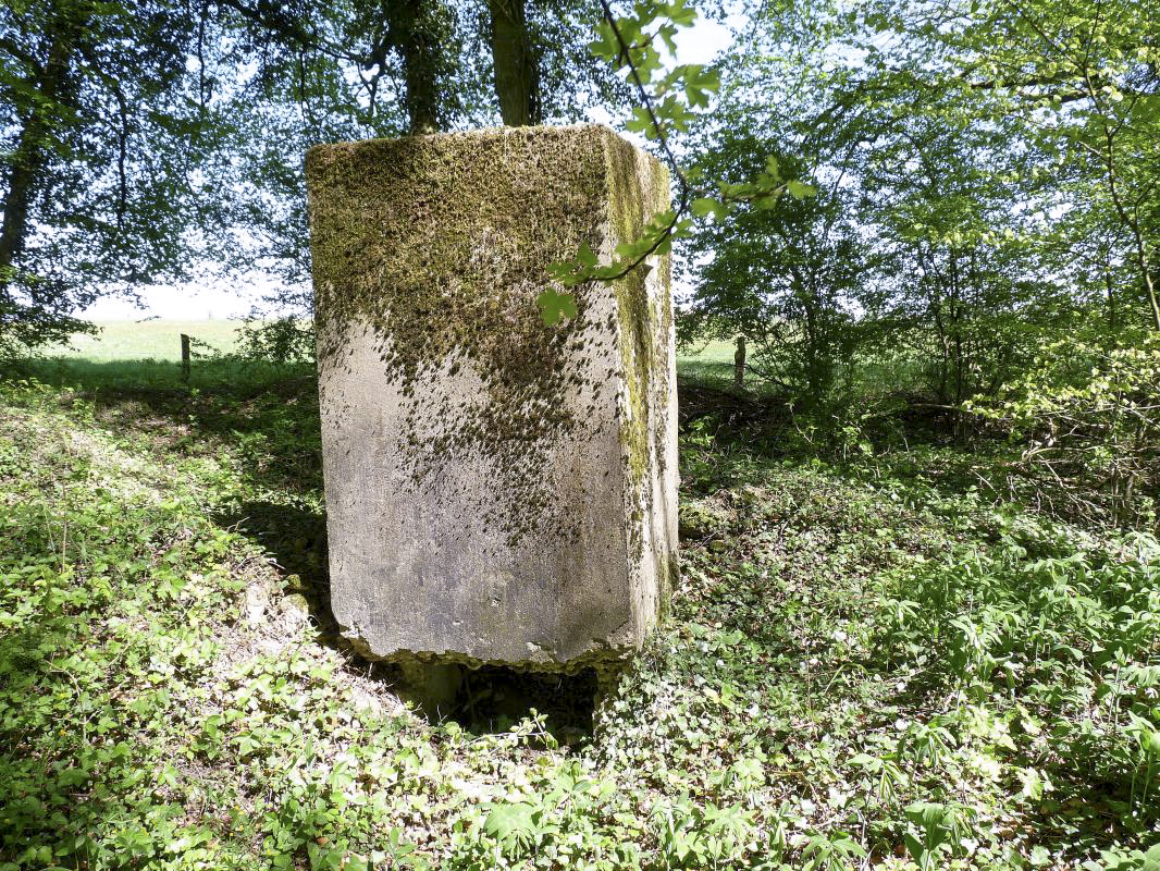Ligne Maginot - GRESSES WALD - (Observatoire d'infanterie) -  - Sylvie Laure LAMBERT