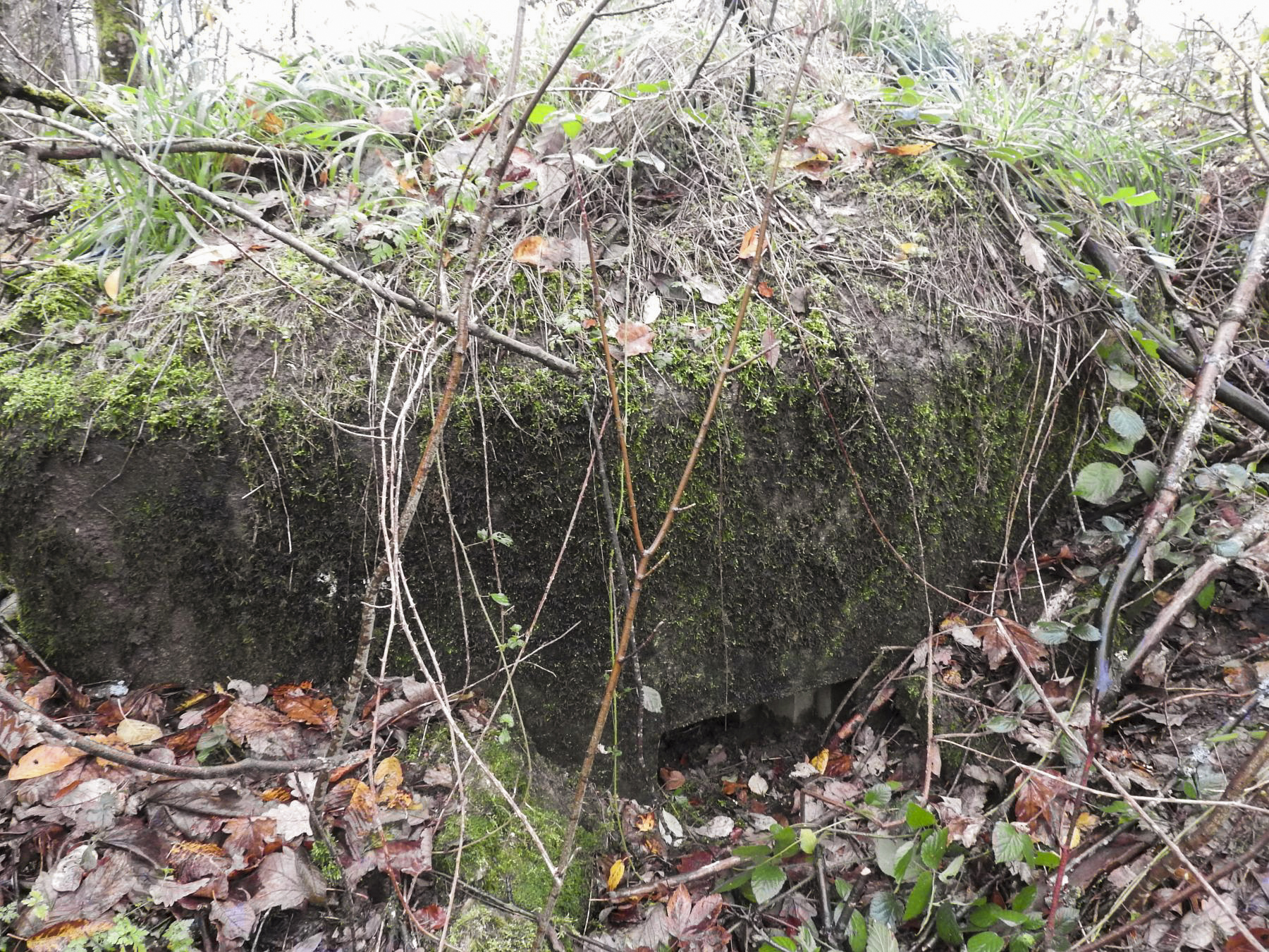 Ligne Maginot - LEGERET NORD 6 - (Blockhaus pour arme infanterie) - La façade de tir. - STENGER Mathieu
