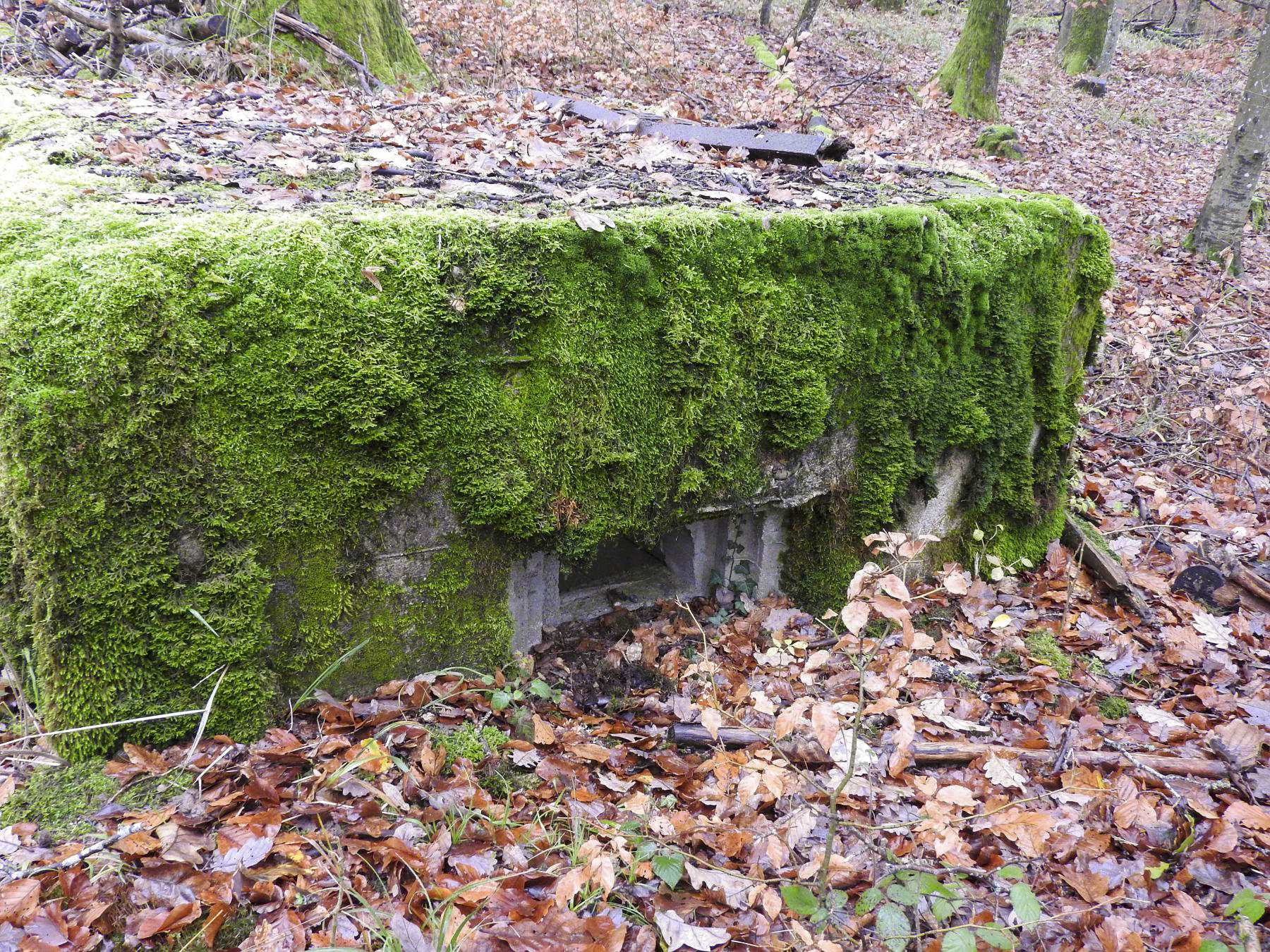 Ligne Maginot - LEGERET EST - (Blockhaus pour arme infanterie) - Le créneau latéral pour FM. - STENGER Mathieu