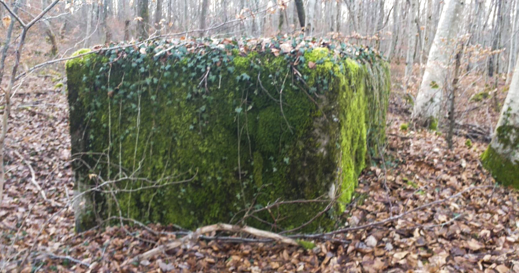 Ligne Maginot - MITTENWALD 5 - (Blockhaus pour arme infanterie) -  - Tigron1234