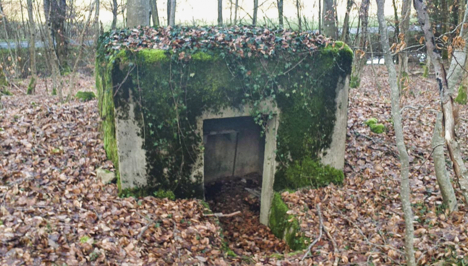 Ligne Maginot - MITTENWALD 5 - (Blockhaus pour arme infanterie) -  - Tigron1234