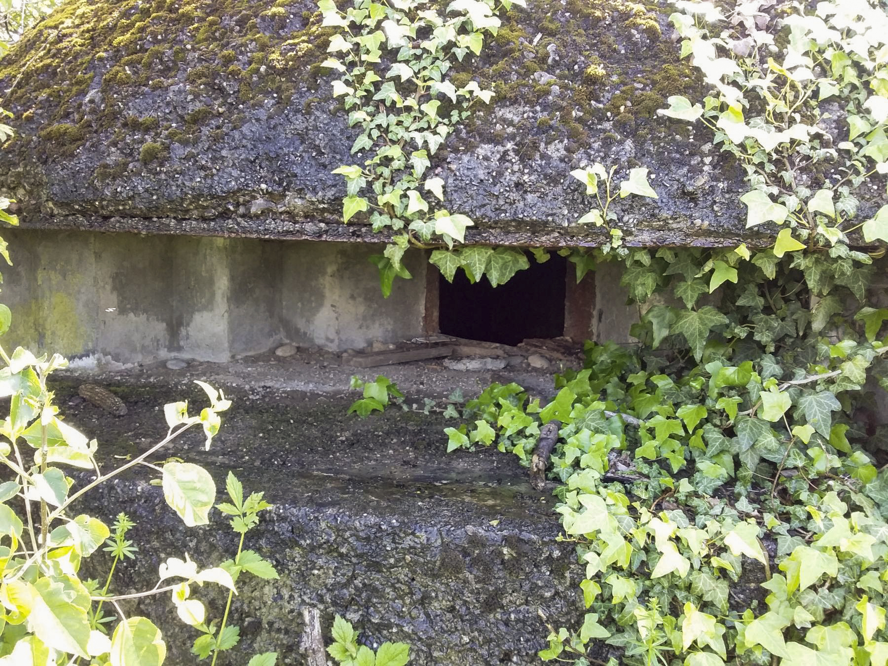 Ligne Maginot - 41C/3 - BLEINFELD SUD - (Blockhaus pour arme infanterie) - Créneau - Joel Muntzinger