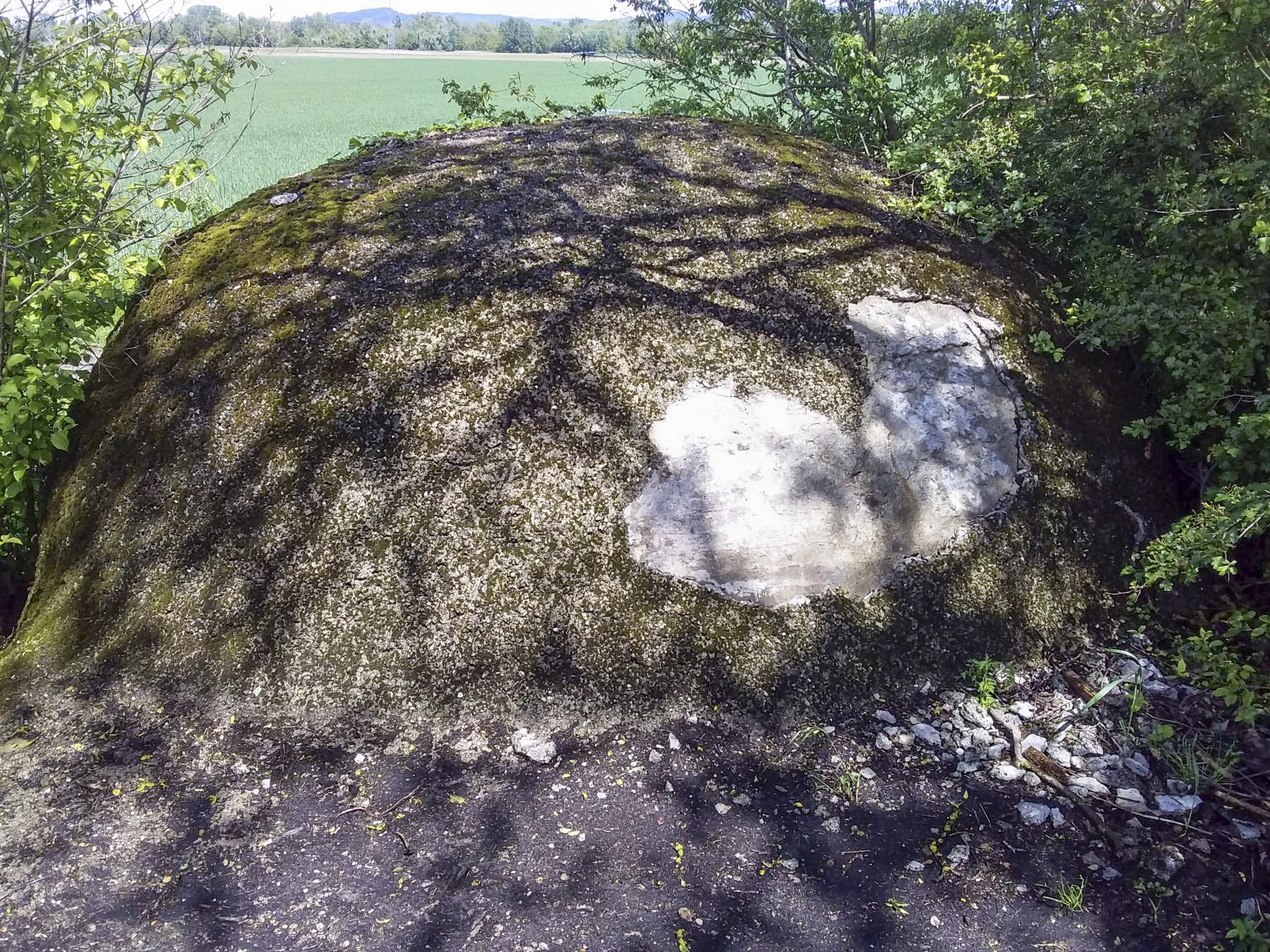 Ligne Maginot - 41C/3 - BLEINFELD SUD - (Blockhaus pour arme infanterie) - Coupole vue du dessus vers le nord-est - Joel Muntzinger